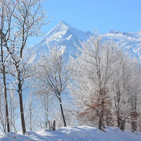 Lejlighed Mountain Panorama By Z-k-h Zell am See